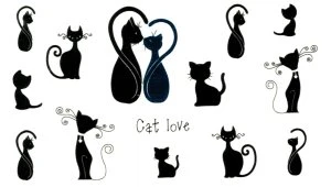 CAT LOVE