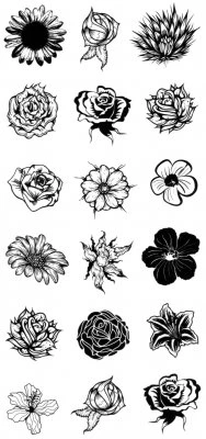 Sorte blomster