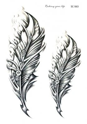Mechanic feathers