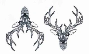 Deers