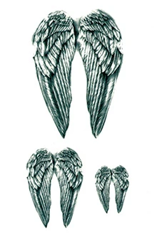SMALL ANGEL WINGS