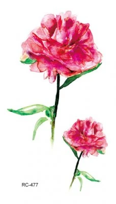 Peonies