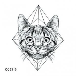 Symmetric Cat