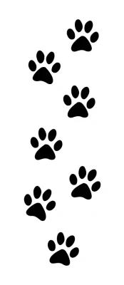 Animal footprints bracelet